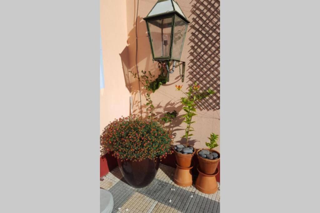 Raposeira De Sao Joao, The Feeling Of Peace, Space And Quiet, Whole Villa Is Yours Fajã da Ovelha Εξωτερικό φωτογραφία