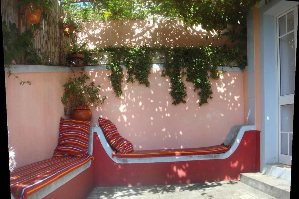 Raposeira De Sao Joao, The Feeling Of Peace, Space And Quiet, Whole Villa Is Yours Fajã da Ovelha Εξωτερικό φωτογραφία