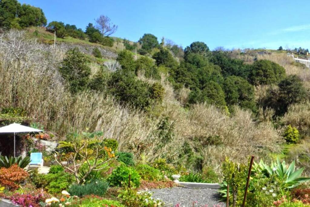 Raposeira De Sao Joao, The Feeling Of Peace, Space And Quiet, Whole Villa Is Yours Fajã da Ovelha Εξωτερικό φωτογραφία